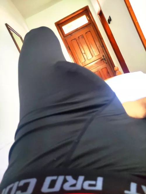 just sharing the Silhouette