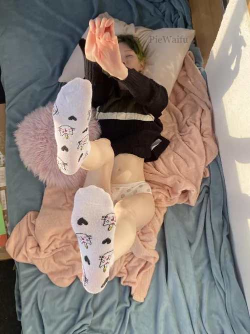 Let me stay your home tonight [F]