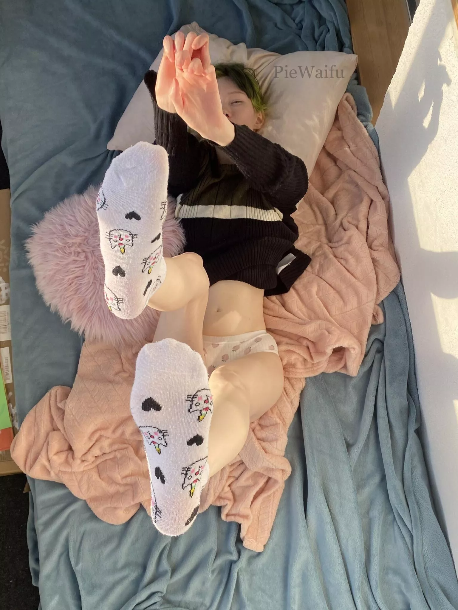 Let me stay your home tonight [F]