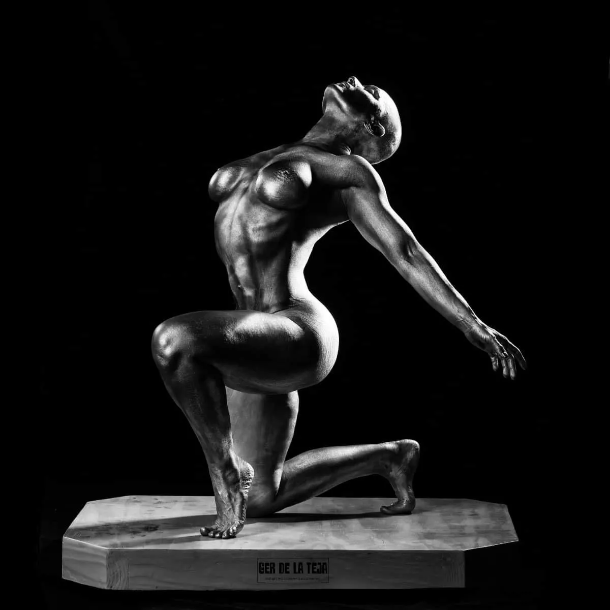 Silvergirl no. 2, by Me