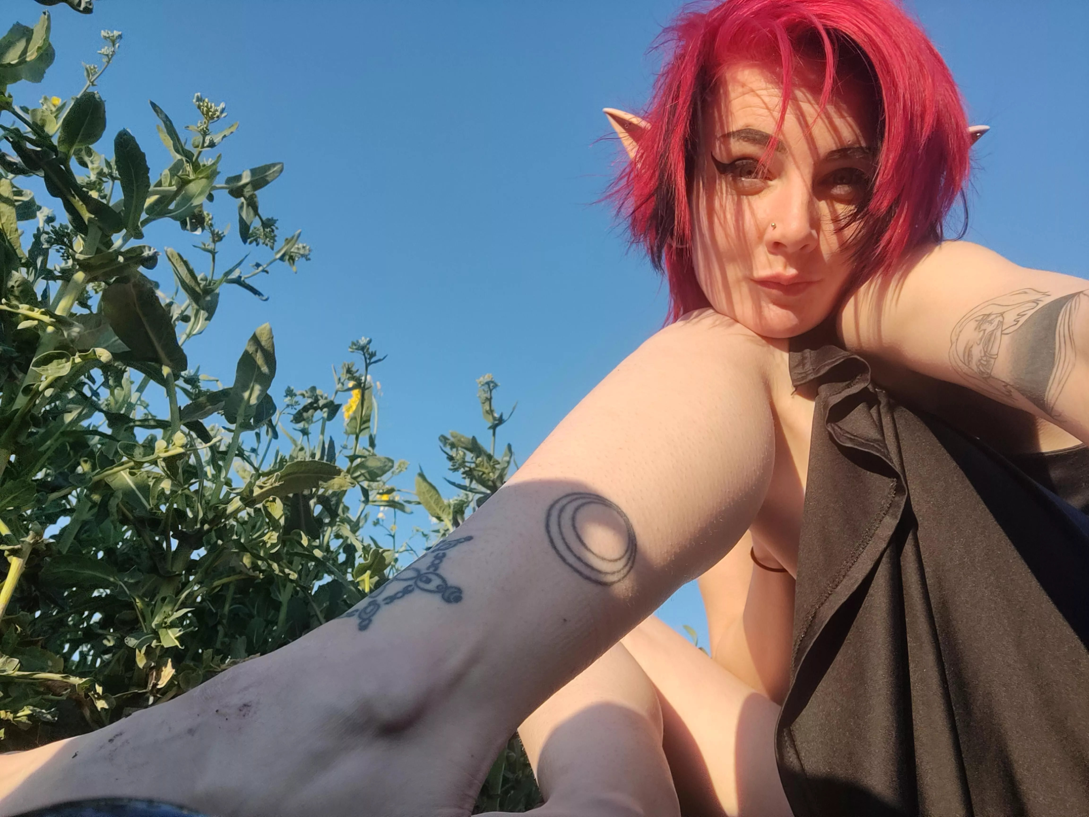 Time to enjoy the sun in the fields ☀️