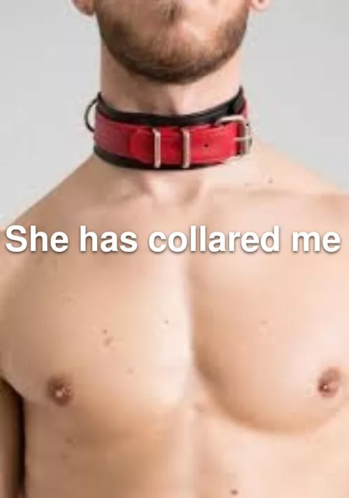 Today marks the day my fellow subs