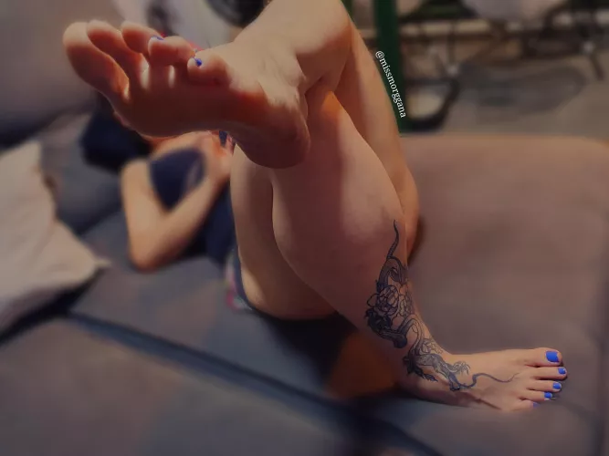 What are you going to do next?