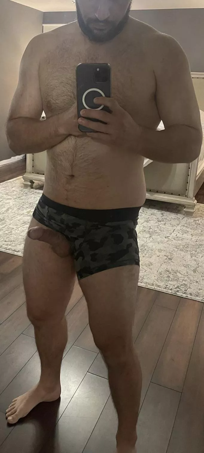 Am I camouflaged enough?