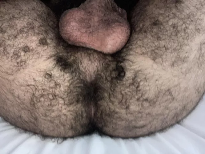 Barely touched and never used