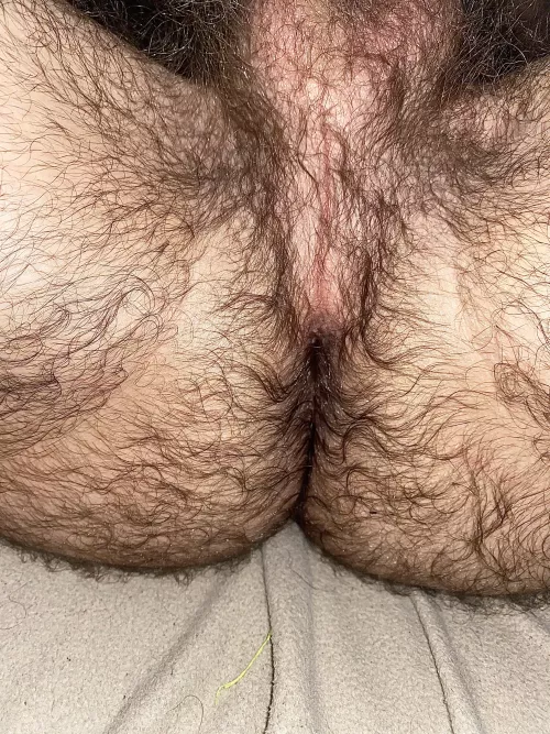 Can’t seem to find my hole. Anyone want to help me look for it? 👃🏻👅