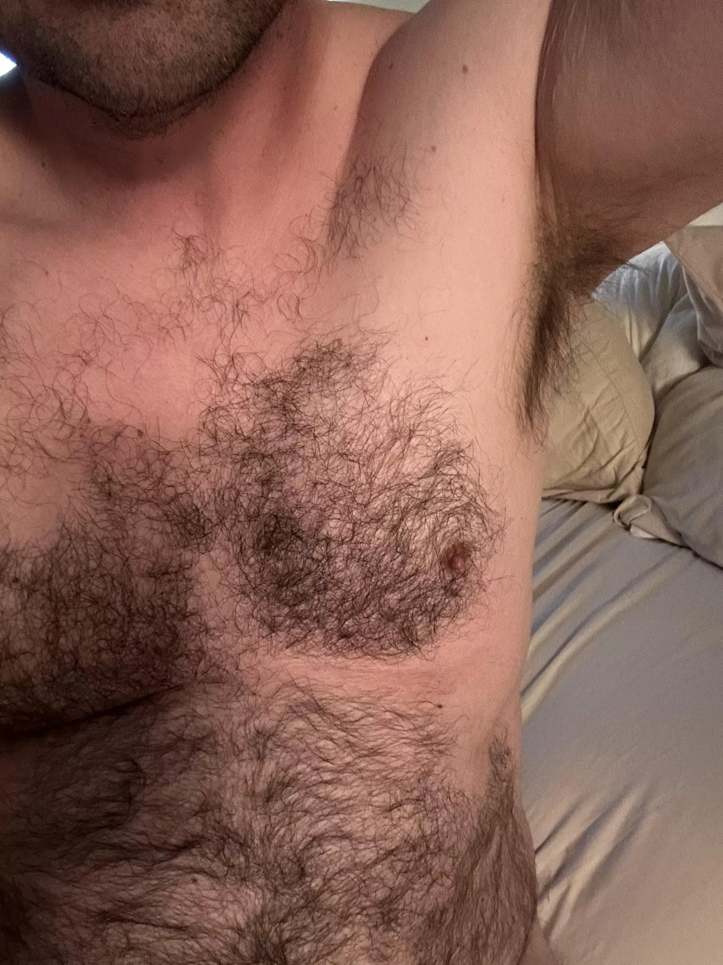 I hope you guys like the view