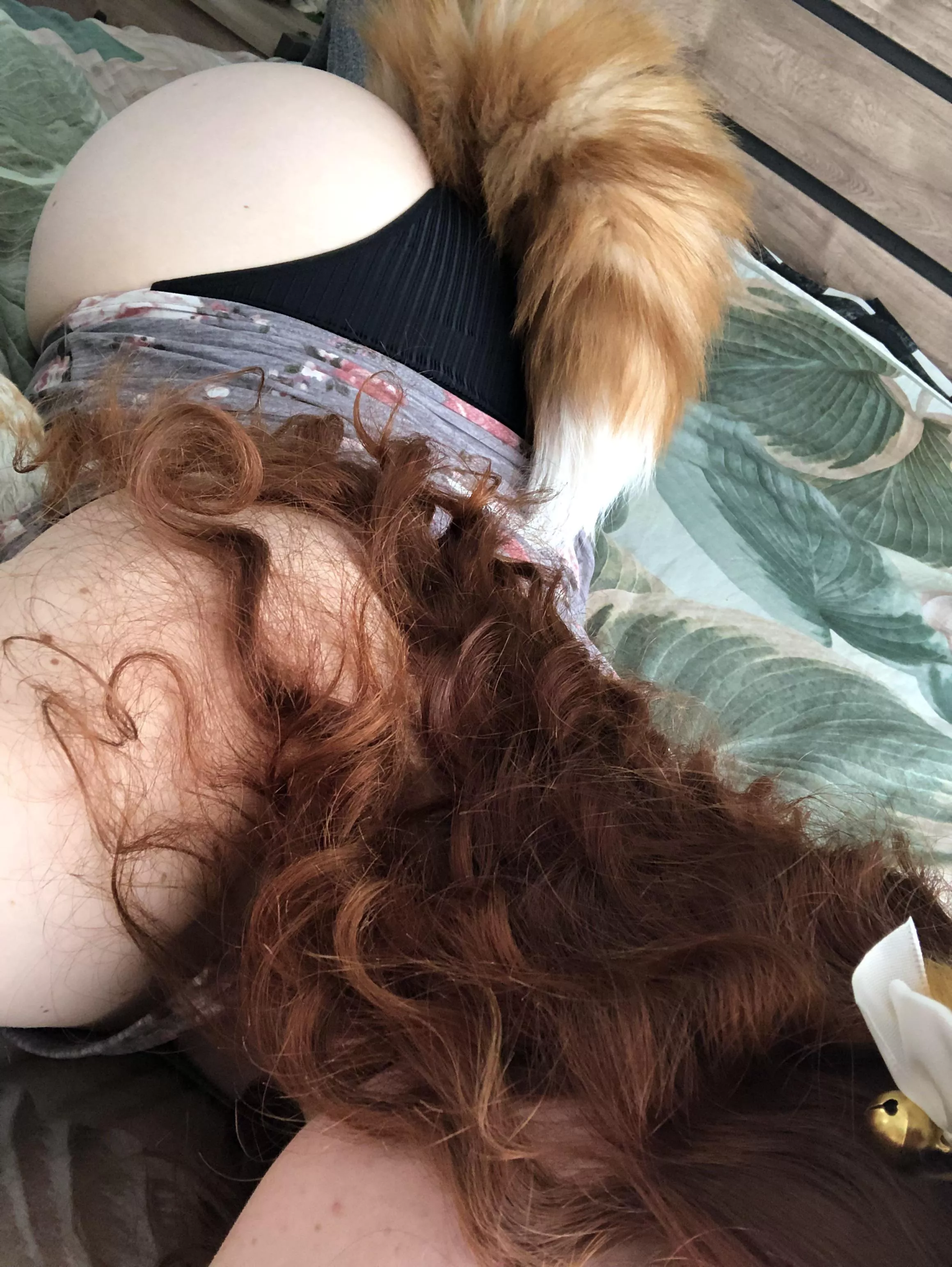 It’s foxy day 🤭