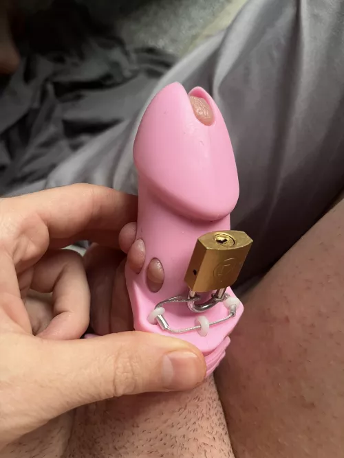 Look how cute it is🥹