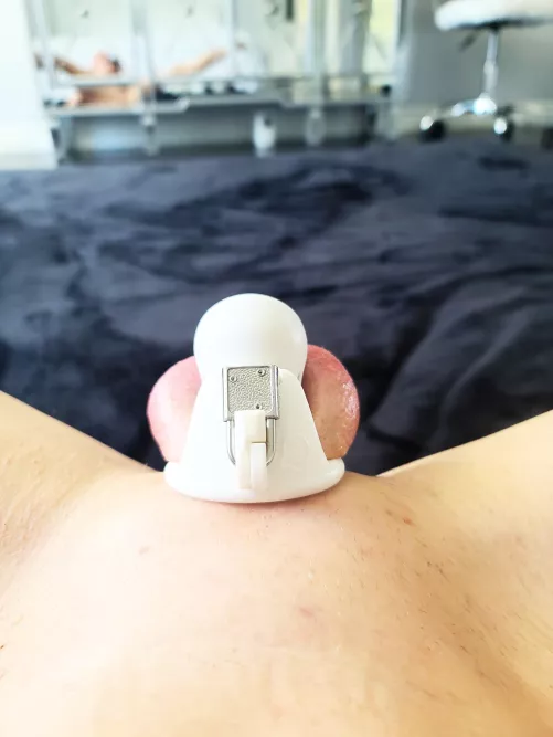 My Penis is Never Allowed Out