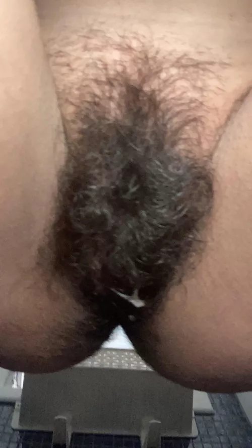 Omg my bush is so thick. Looks like you're looking down on top of someone's head lol that's airbombed by a pelican🤭😁