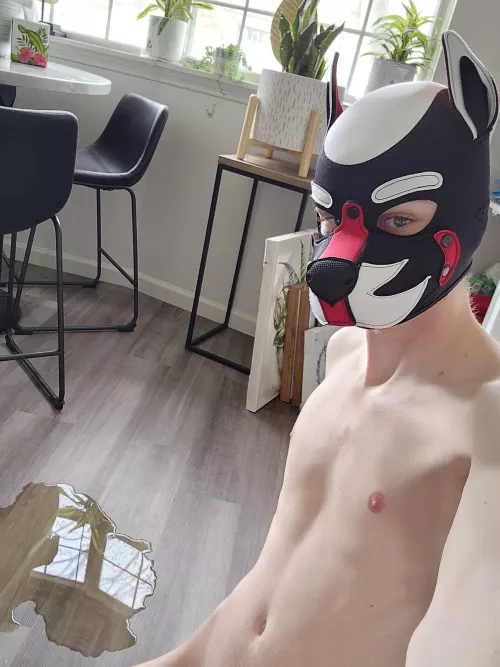 Puddle? What puddle?