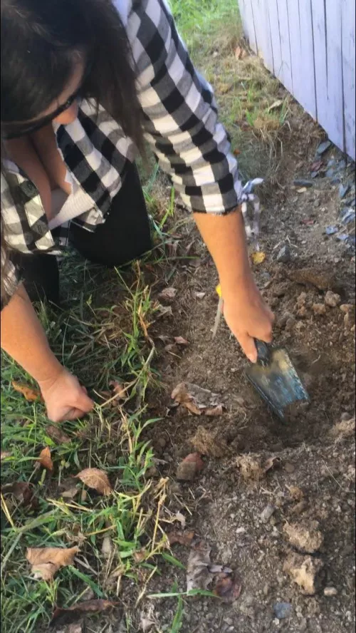 the weathers beautiful