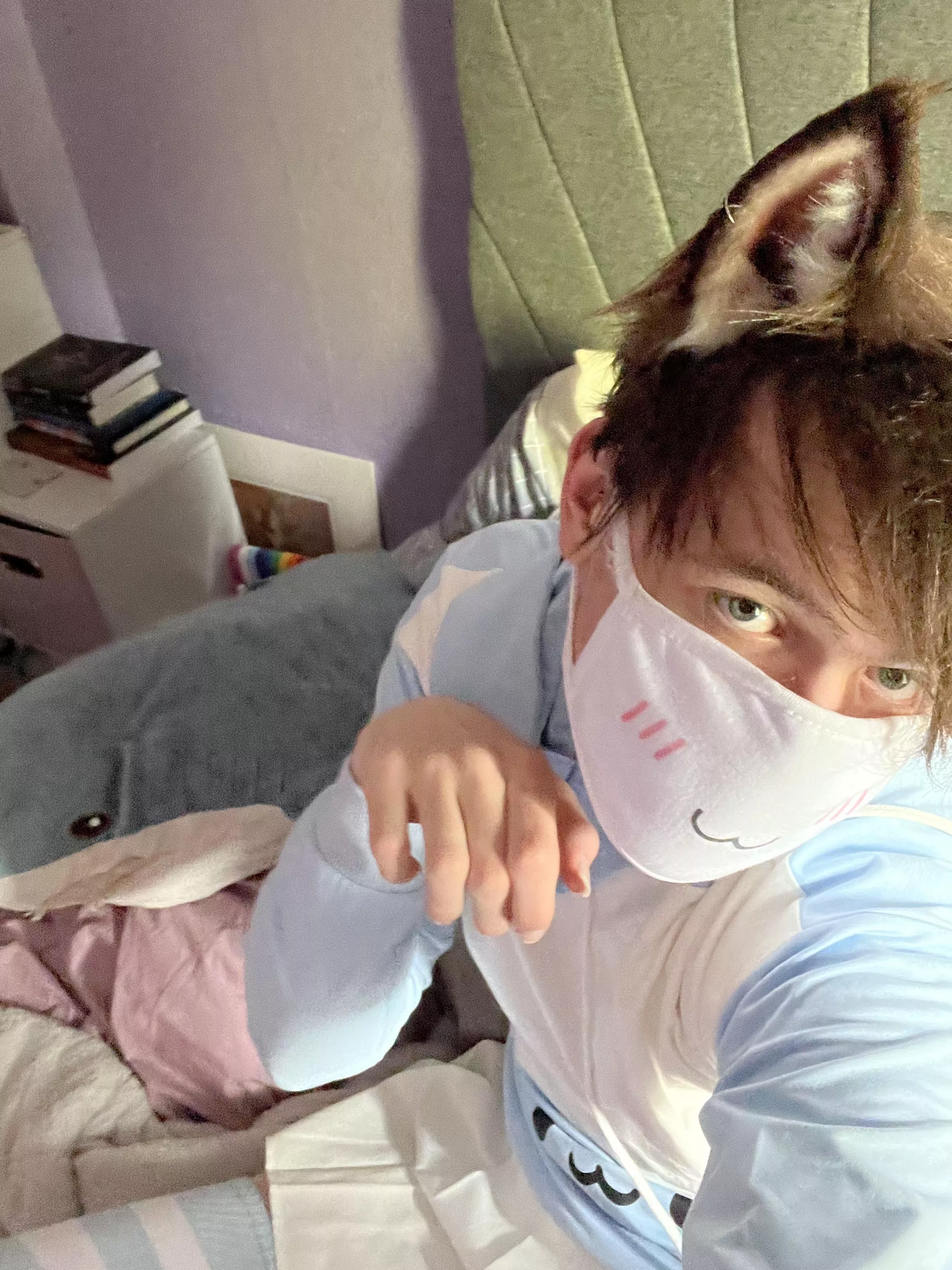 thoughts on catboys? 🥺 (ft blahaj)