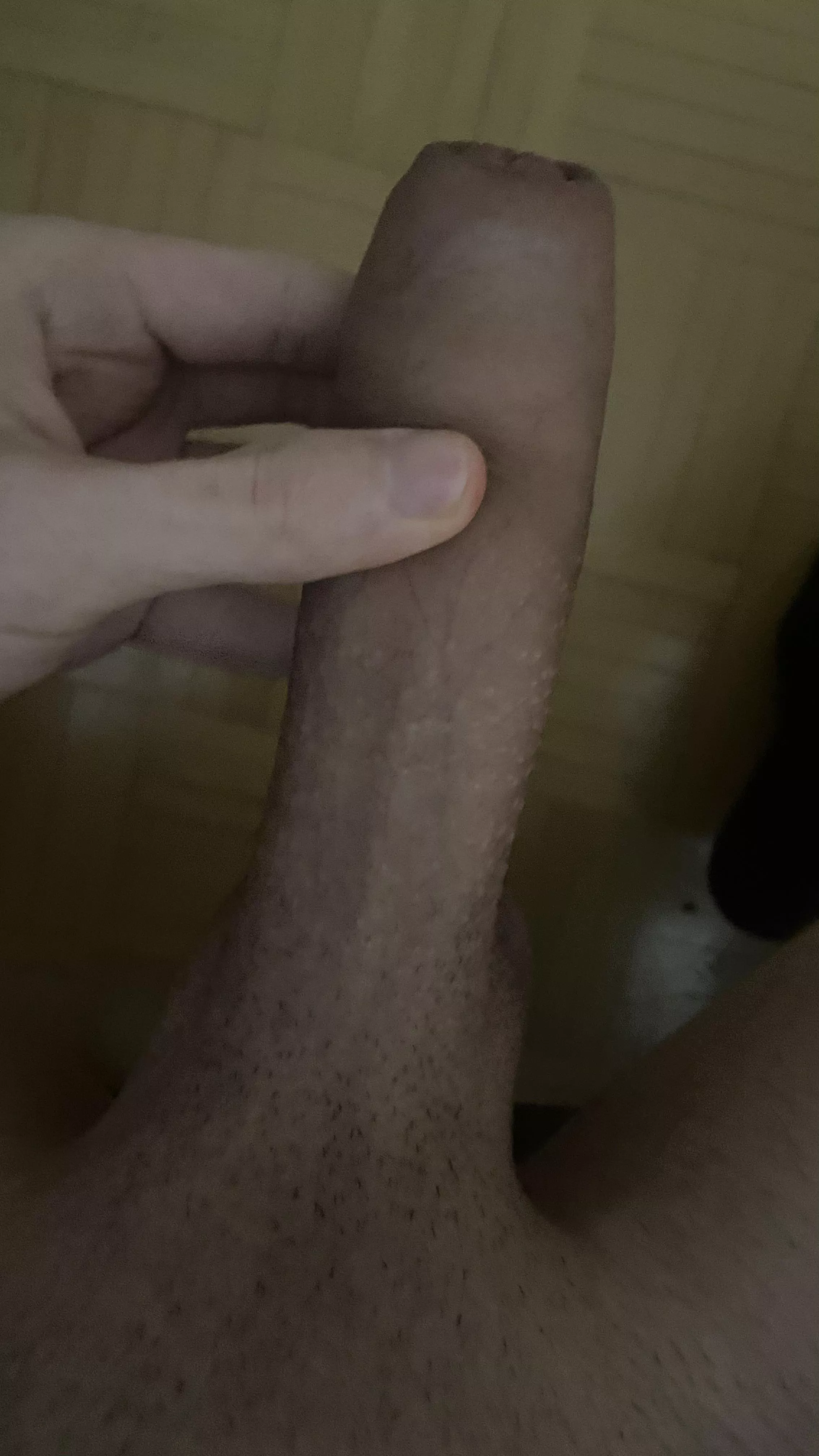 who wanna play with him?