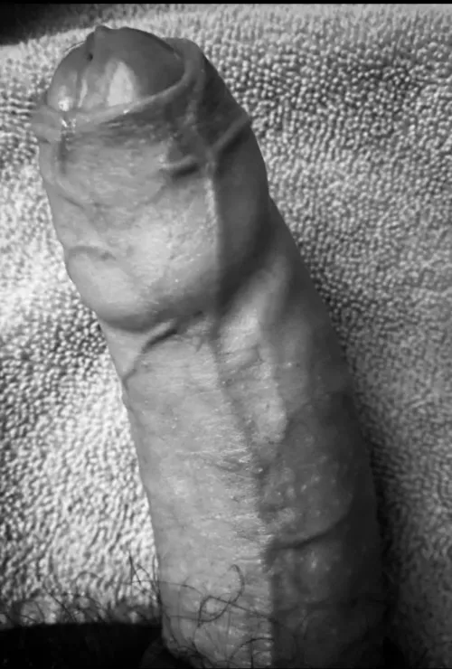 Would you ride this cock