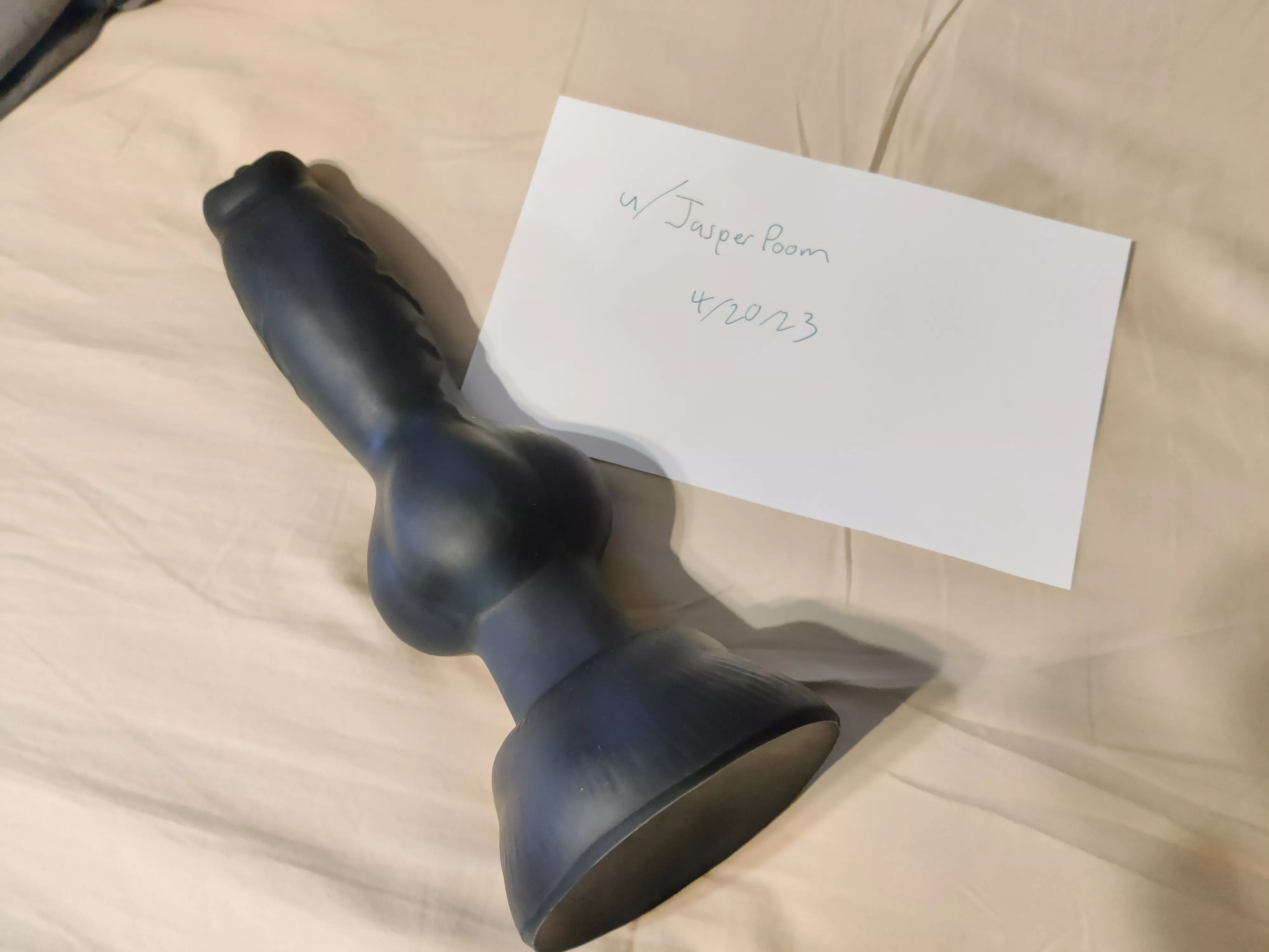 WTS L/M Rex w/ suction cup