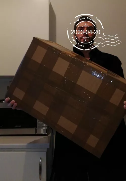 You know your ass is in trouble when ONE dildo comes in a box this big.