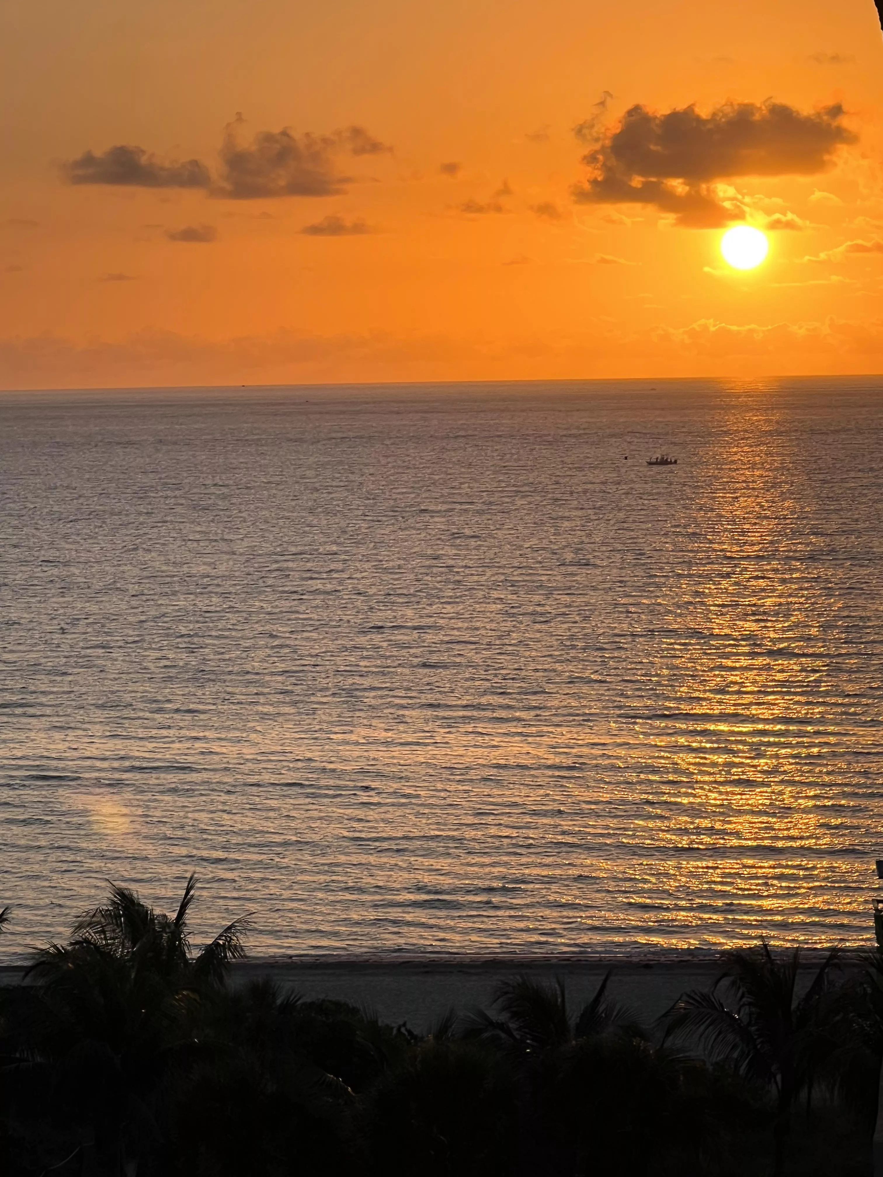 Another beautiful sunshine