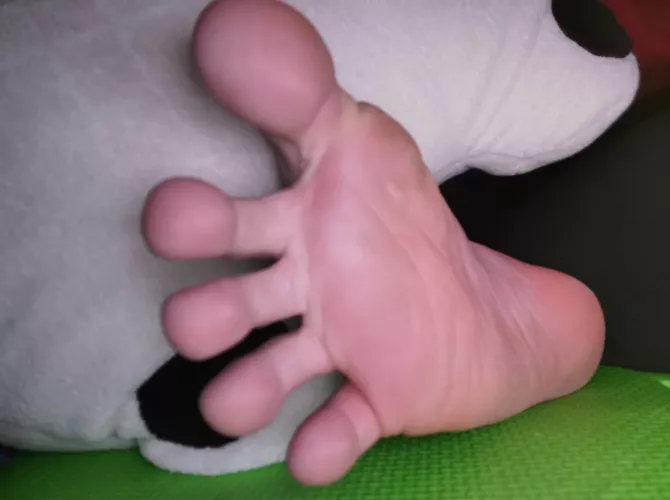 Do you like sole and wide spread toes?