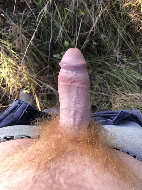 Early morning bush walk