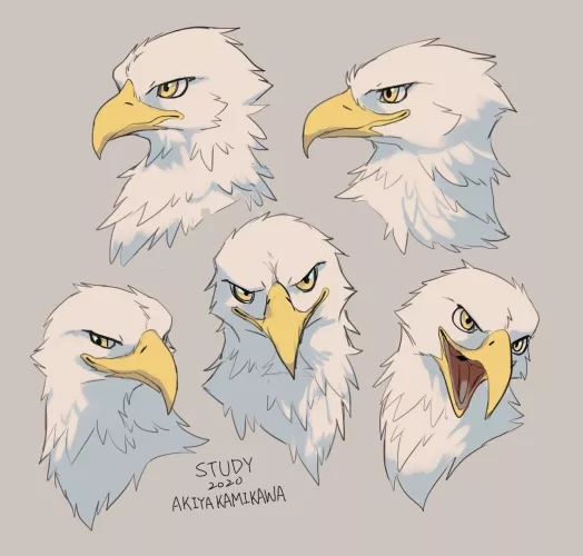 Egle study, Old work in 2020 (By me @AkiyakamikawaX on twitter)