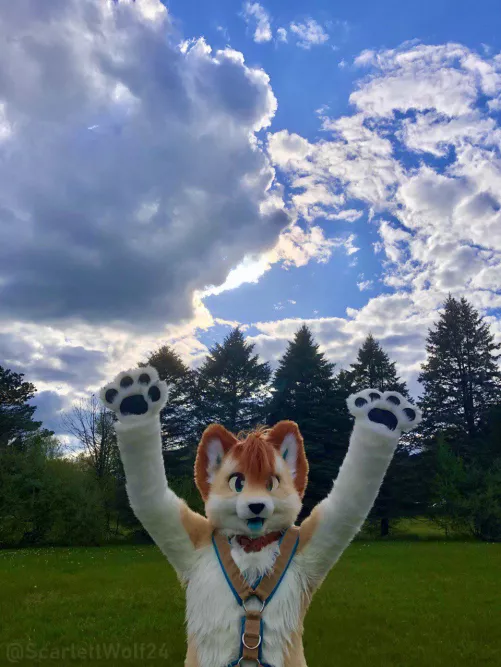 Happy Fursuit Friday! ☀️🐾