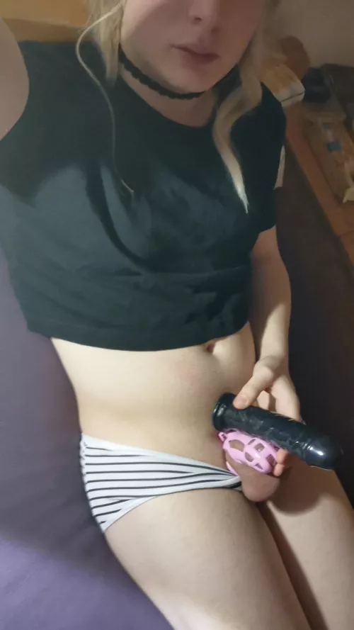 I guess that settles the question of my place in the world