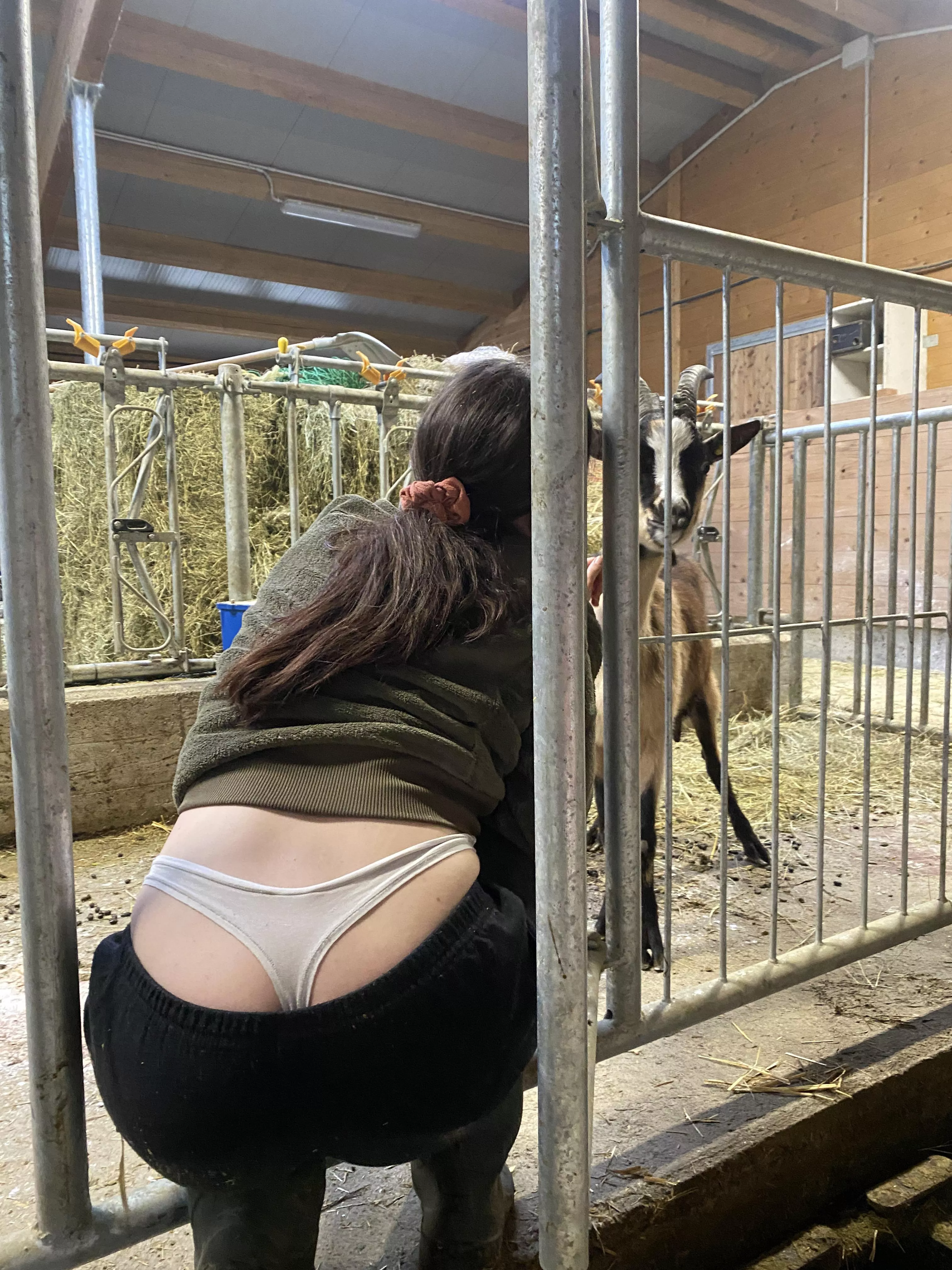 I just love to spend my time with my animals