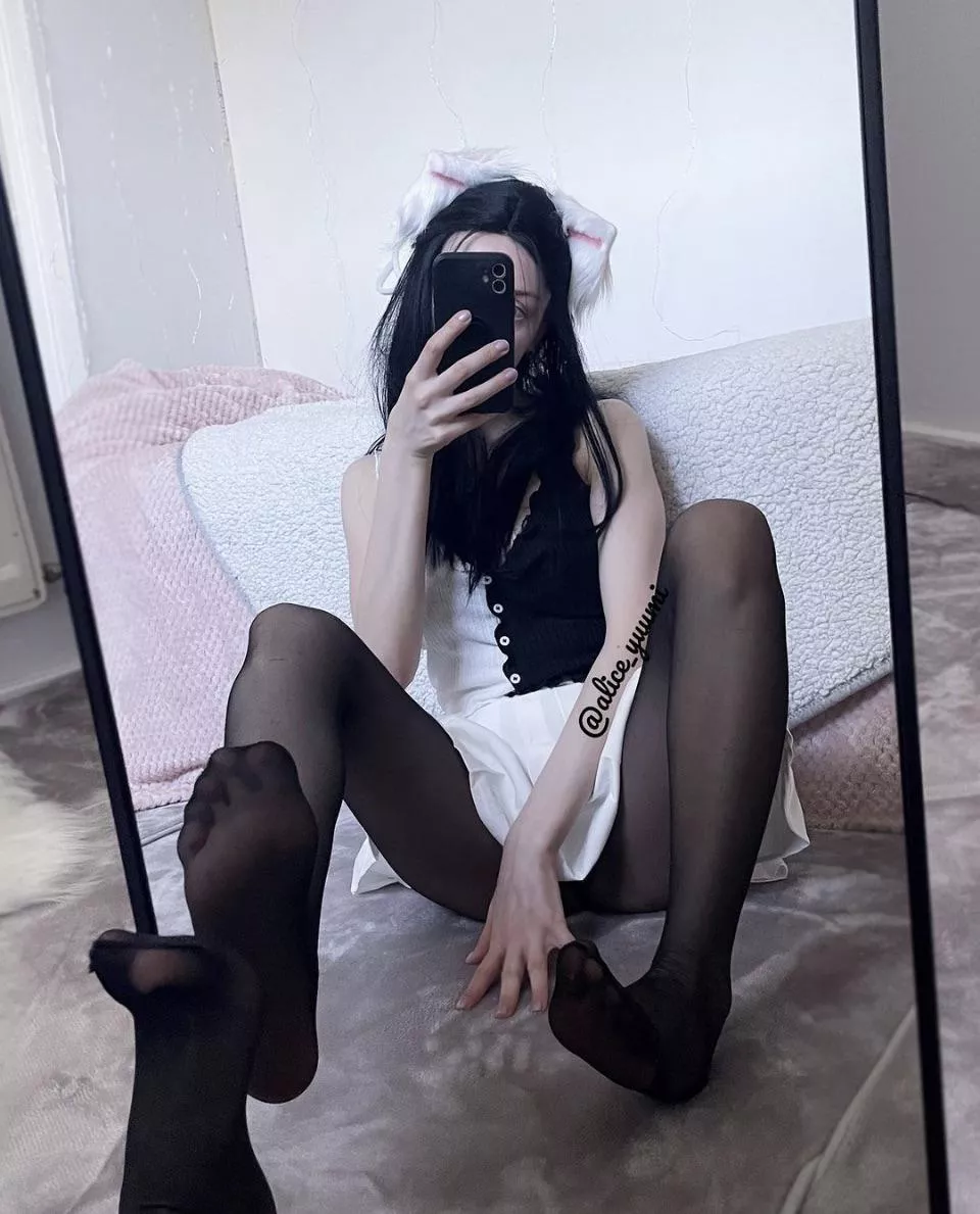 Kitty in nylons