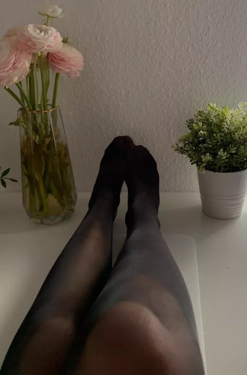 Laying my feets on the desk so your mouth doesn’t stop throbbing