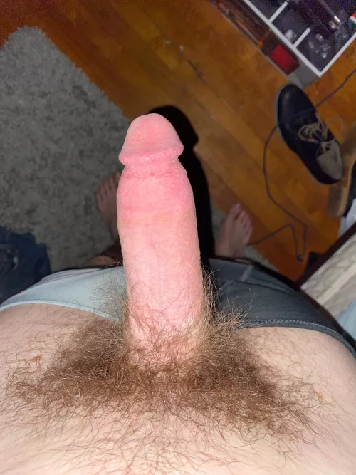 Morning wood, dms open