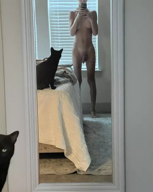 My cat is judging me so hard