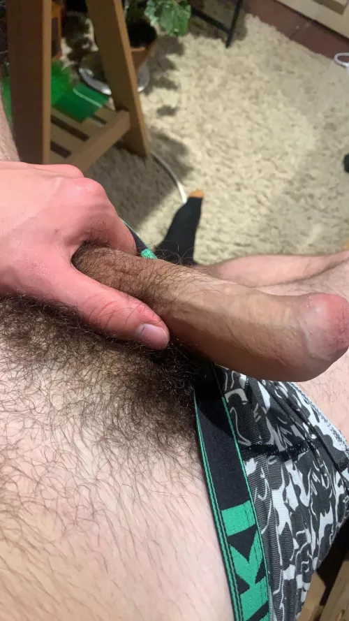 My hairy dick;)