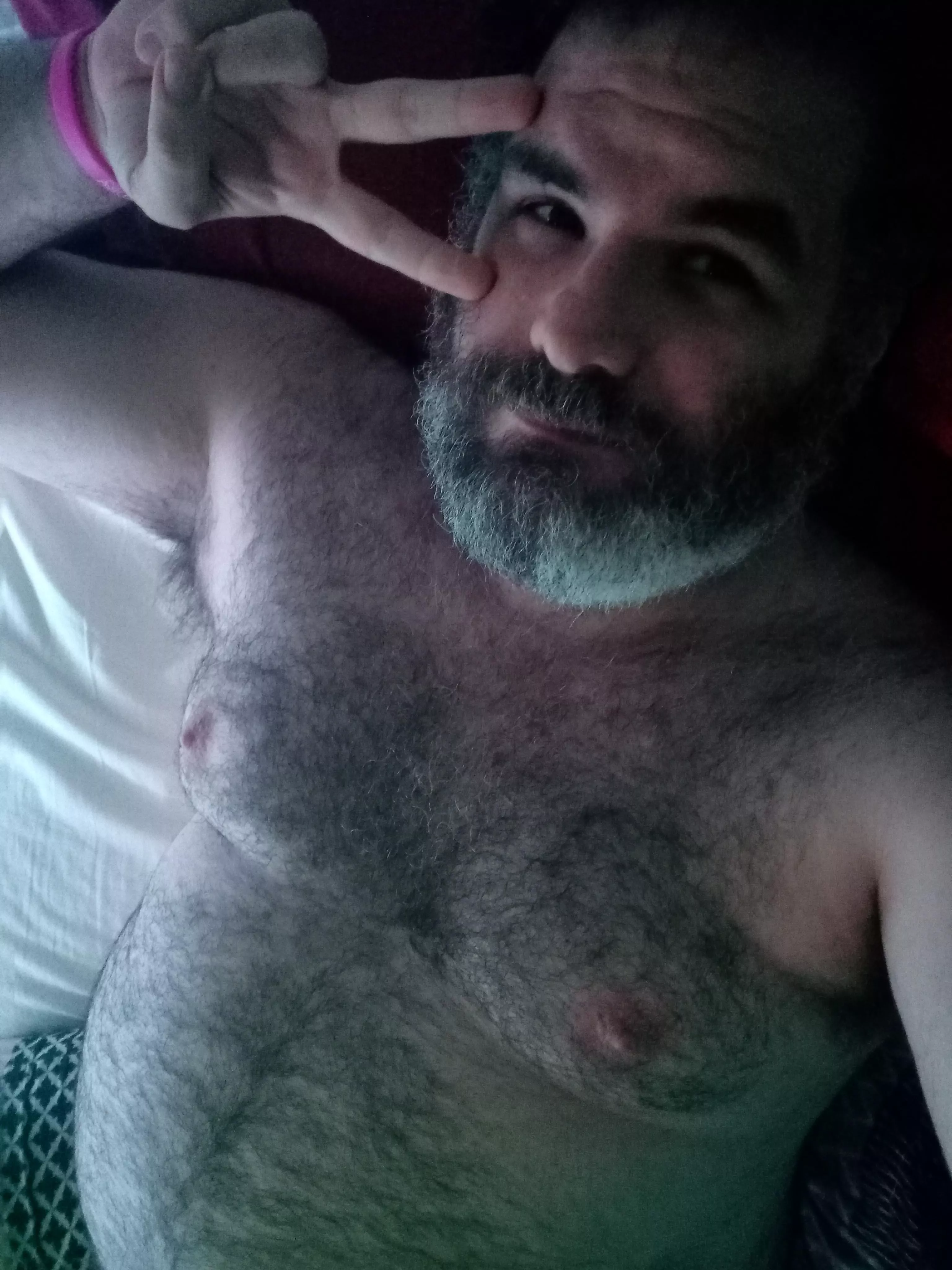 Nips say it's cold here