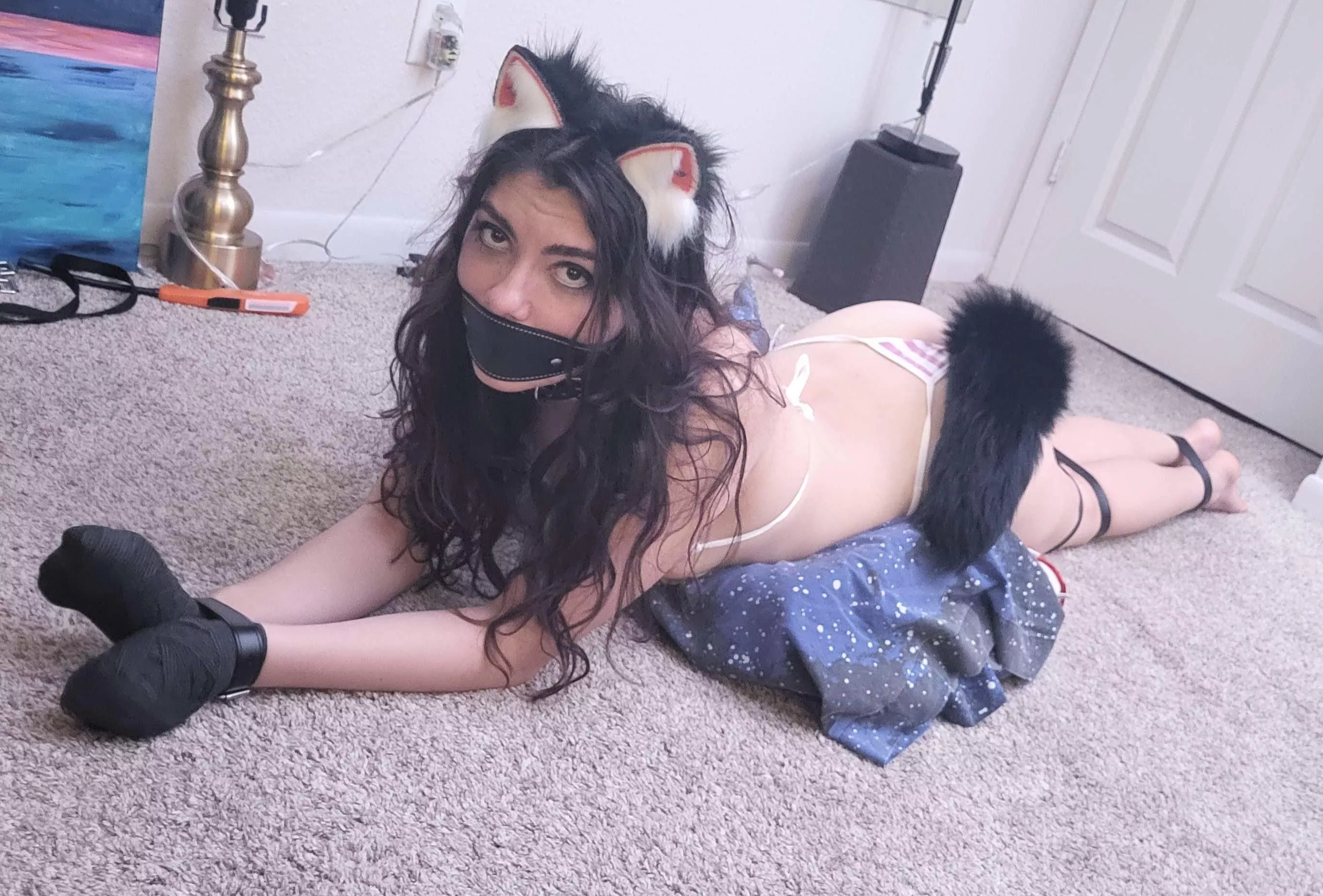 Tied up kitten with panel gag and wrapped up hands