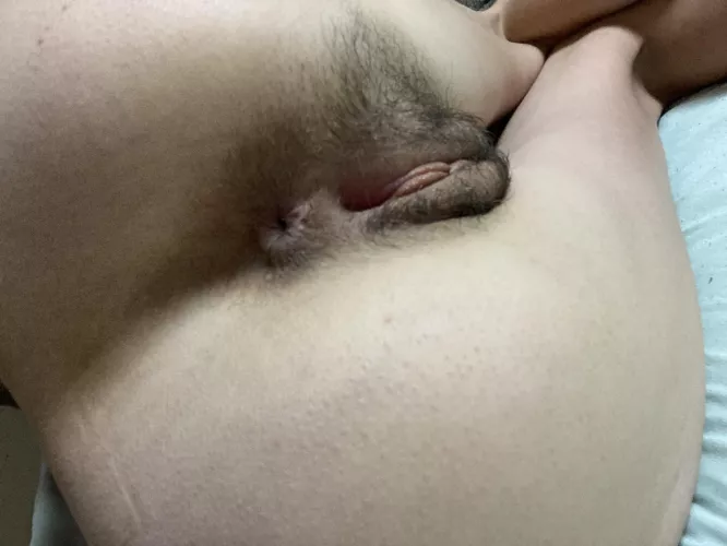 Welcome to my jungle