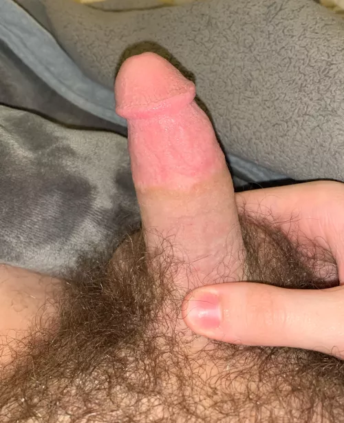 Who likes hairy teen cocks? 18