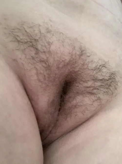 Who wants taste this bush