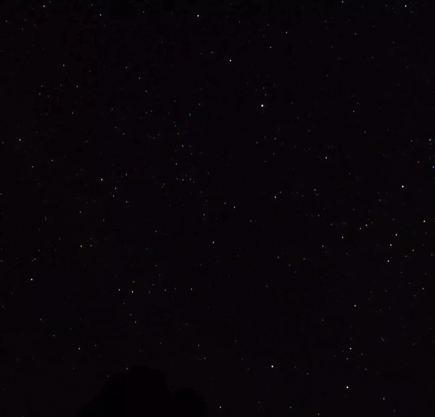 18+ Bigger decides how the smaller strokes and cums. hmu.