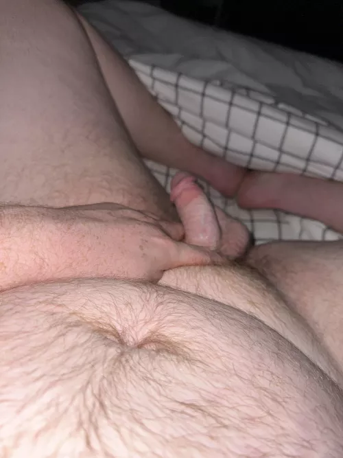 25 ginger cub. Make me hard.