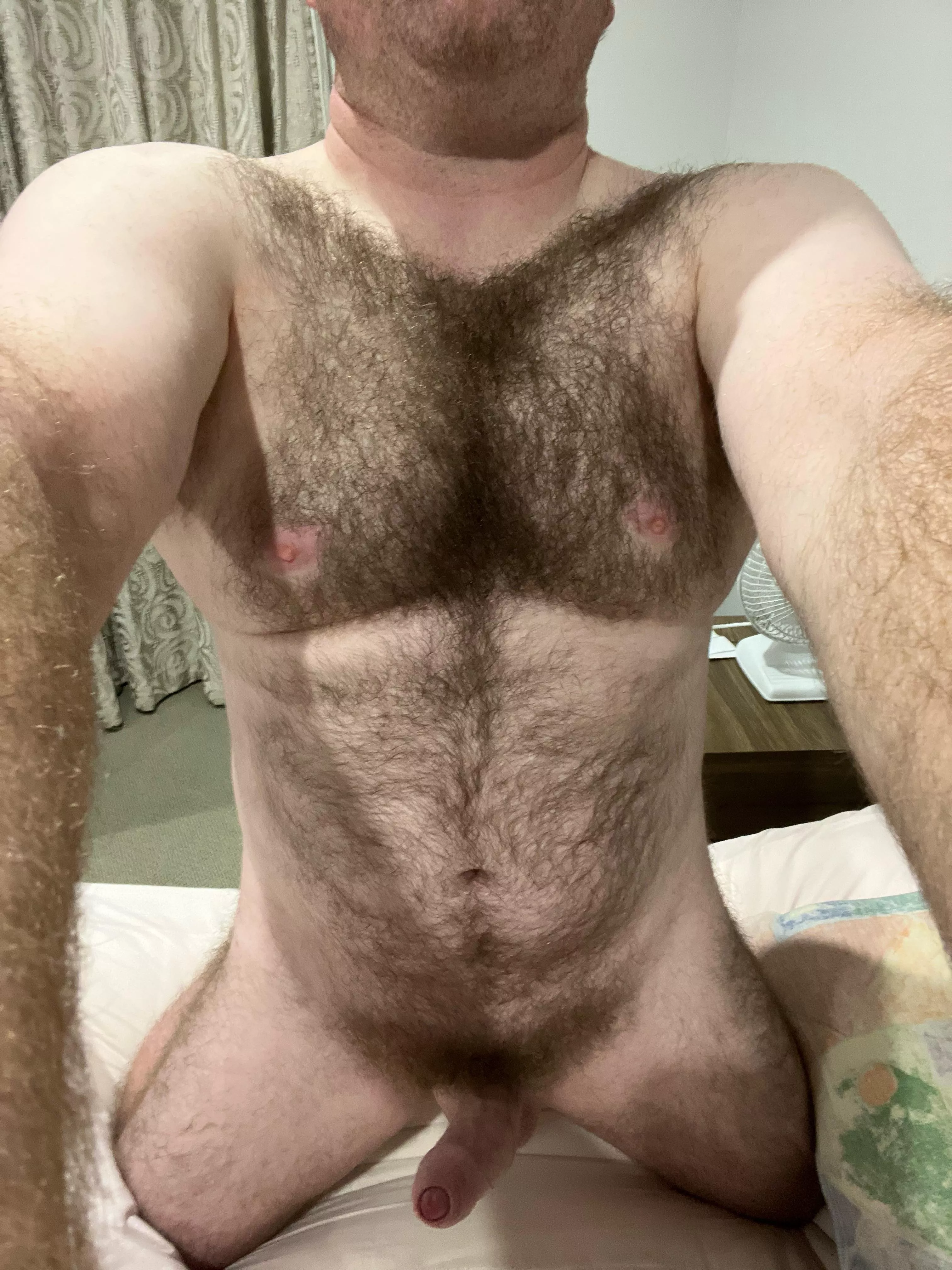 25 uncut hairy dm sc