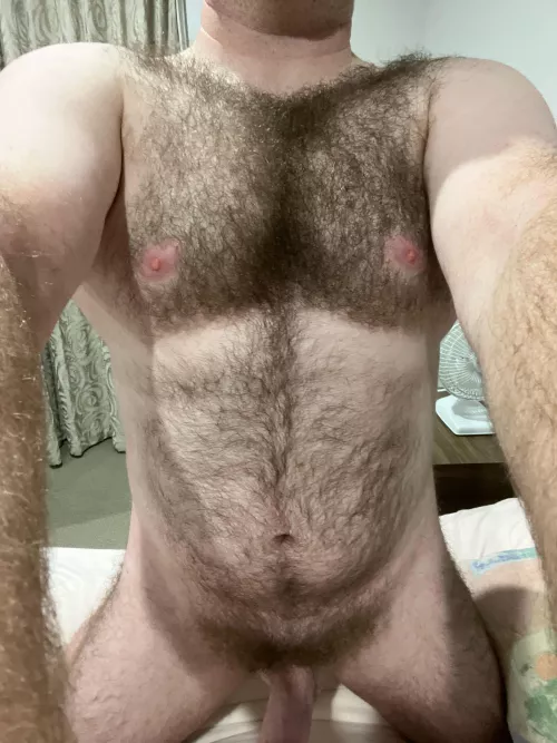 35 uncut hairy dm sc