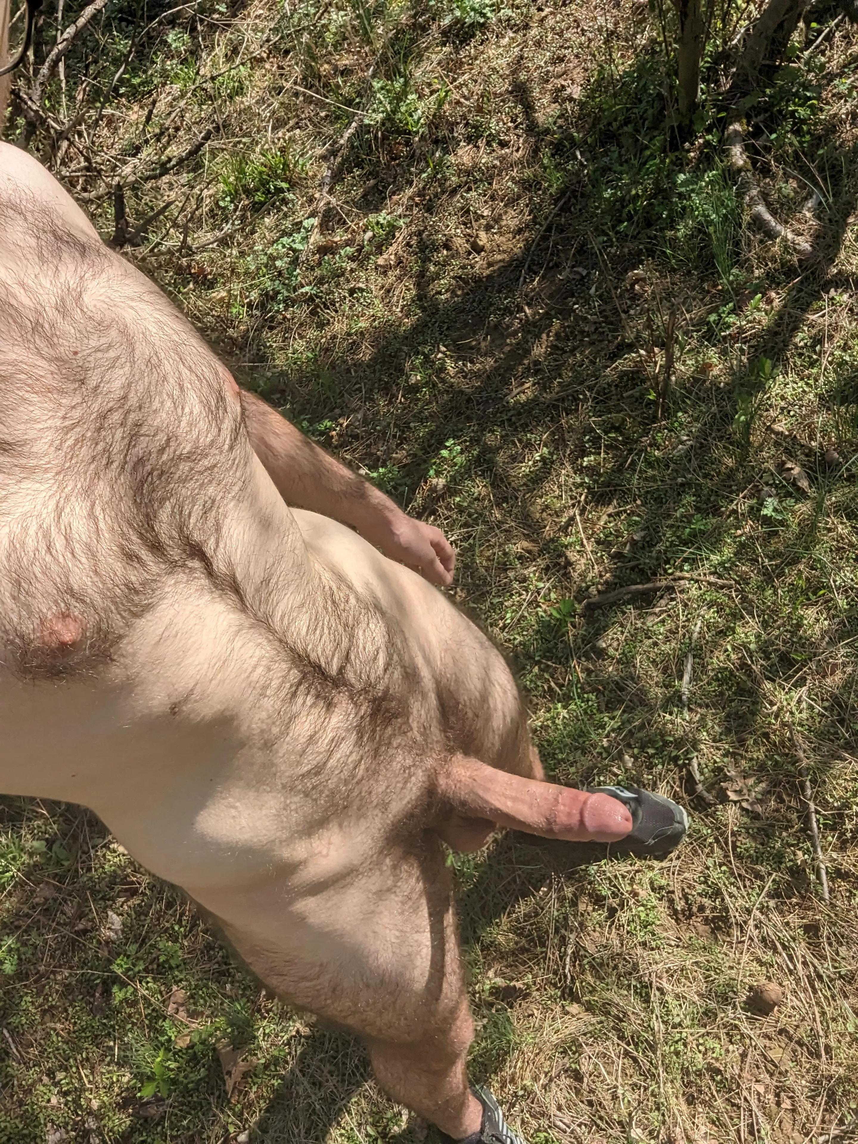 Cock out hiking earlier today (18)