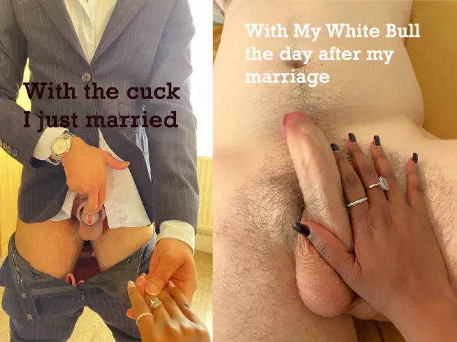 Do you guys think I married him for his cock... Lol look at the size of it.. He's meant to be my permanent slave cuck locked up for life 🔐😍#chastity #cuckold #bwcsupremacy #saynotobrownbois #FLR