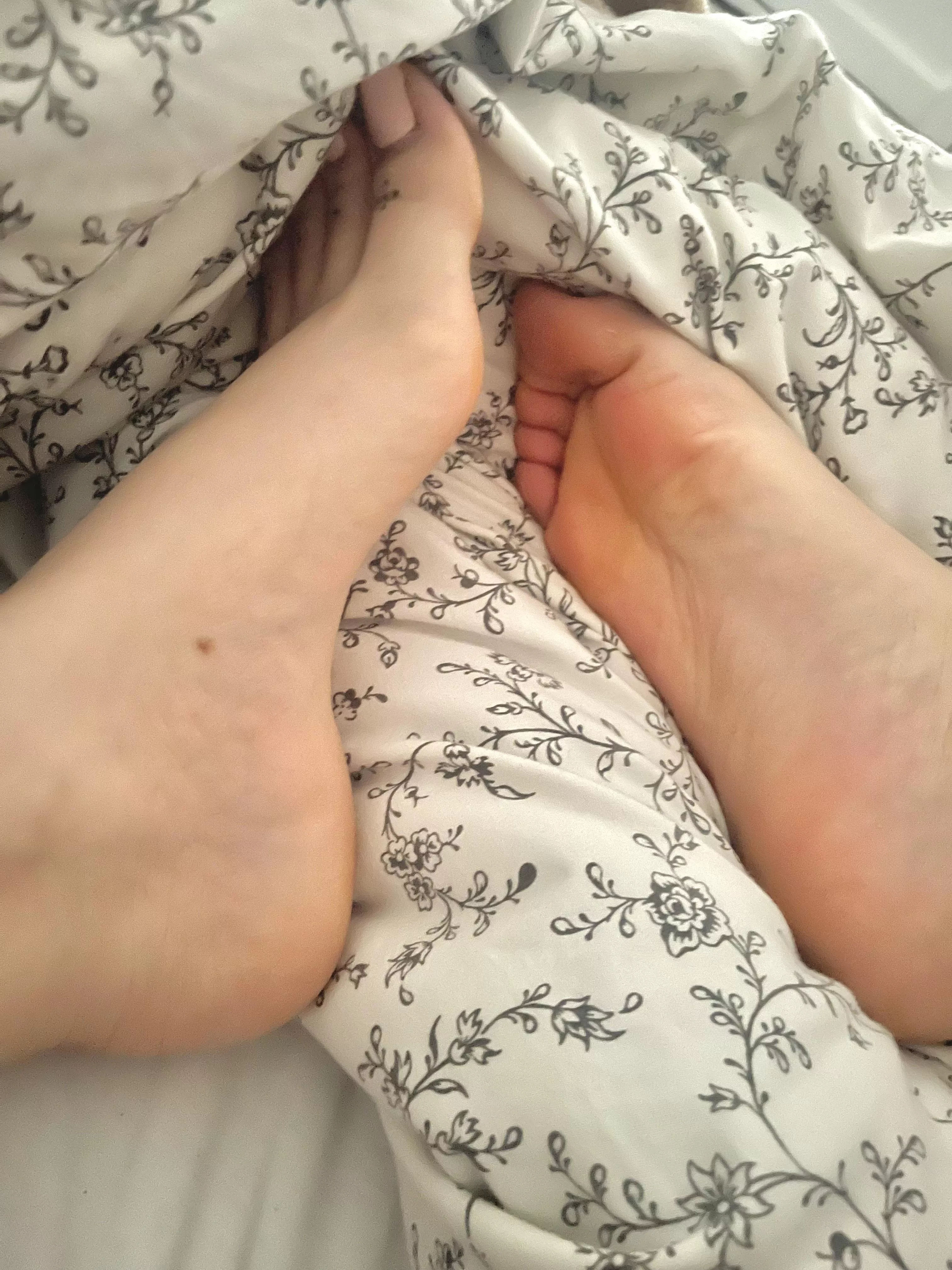 Lazy Sundays, who wants to join?