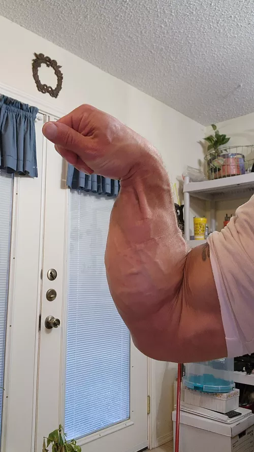 Mama said KNOCK you OUT!!