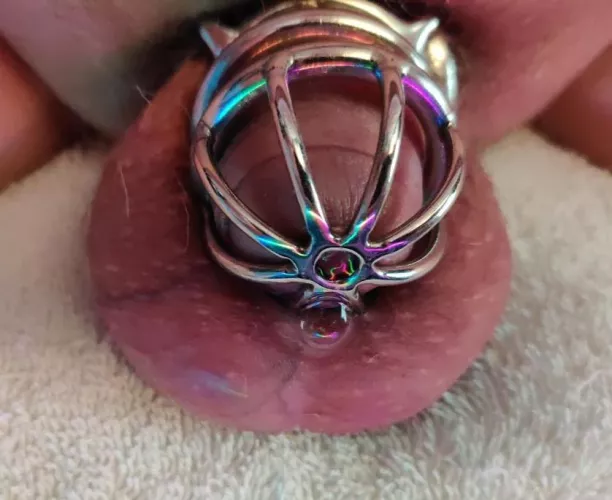 Precum bubbles while grinding on a butt plug!