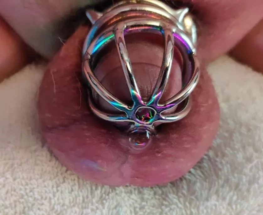 Precum bubbles while grinding on a butt plug!