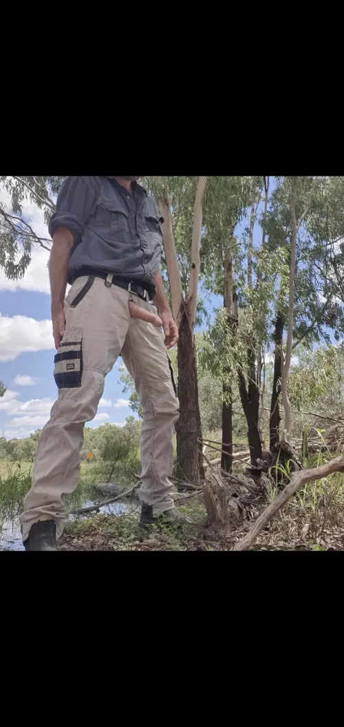 Quick shot in the bush